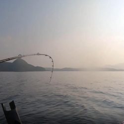 カヤックコラボｗオジサンにホウボウｗガラカブの根魚